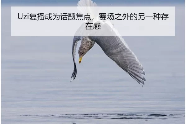 fu-bo-cheng-wei-hua-ti-jiao-dian-sai-chang-zhi-wai-de-ling-yi-zhong-cun-zai-gan-2-631.jpg